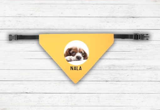 Personlig pet bandana för hund med egen design