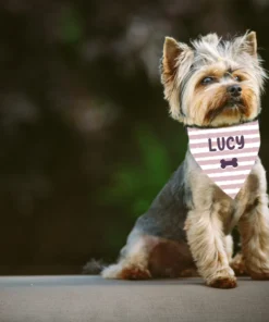 Personlig pet bandana för hund med namn